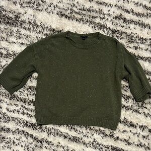 Ann Taylor Factory Olive Crew Neck Sweater